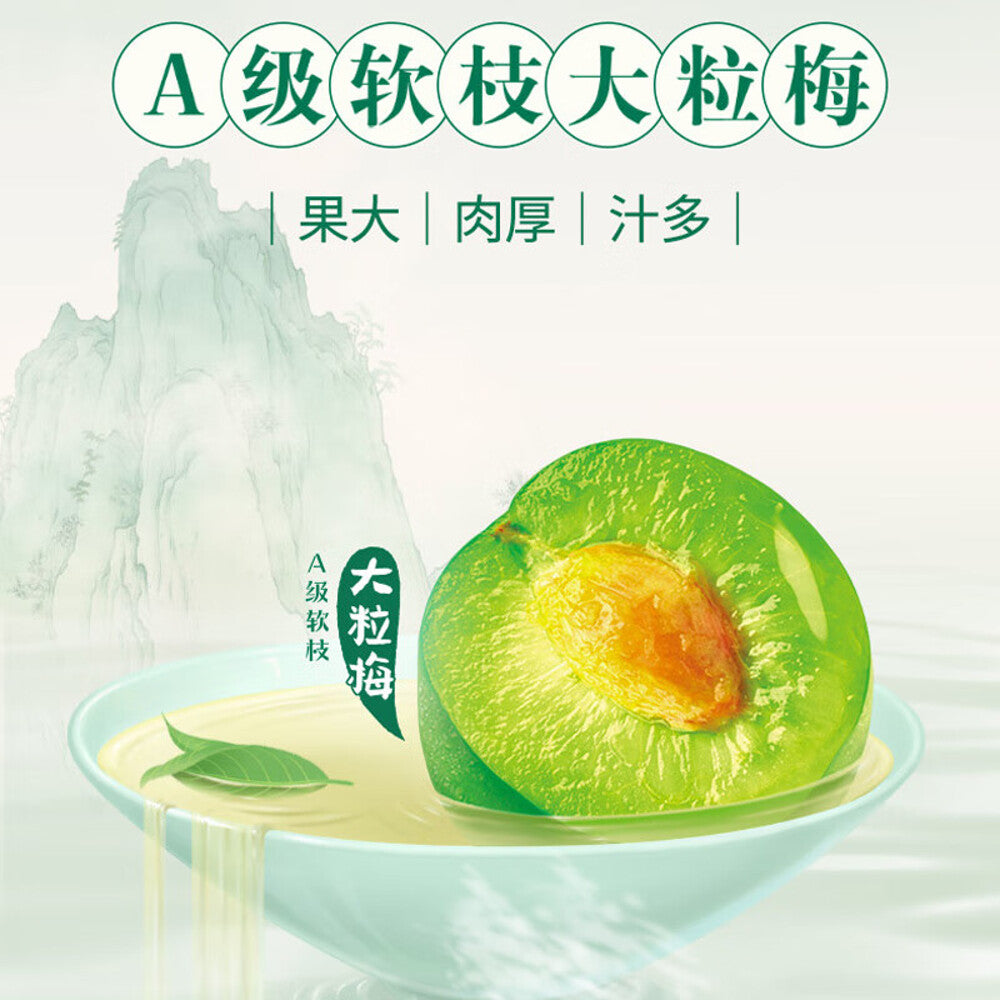 Uni-President-Green-Plum-Green-Tea---500ml-x-15-Bottles-1