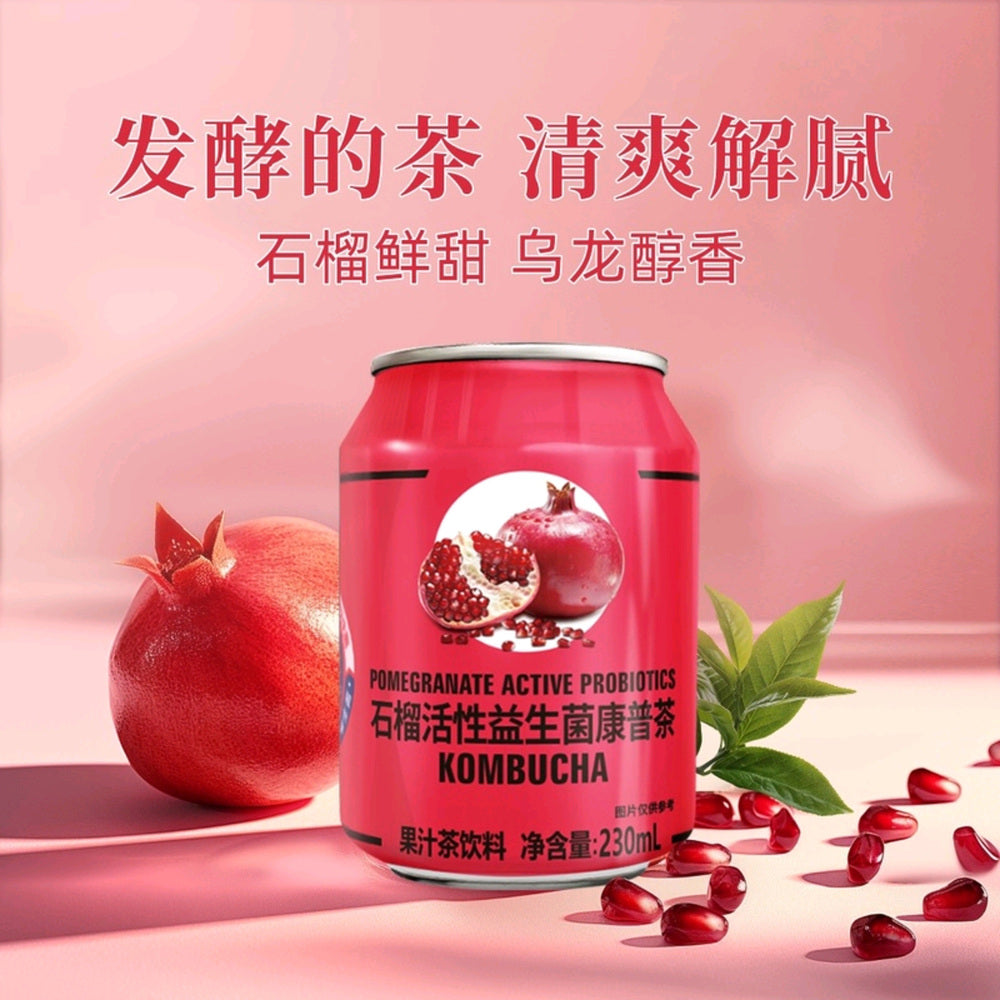 Pomegranate-Active-Probiotics-Kombucha---230ml-x-20-Bottles-1