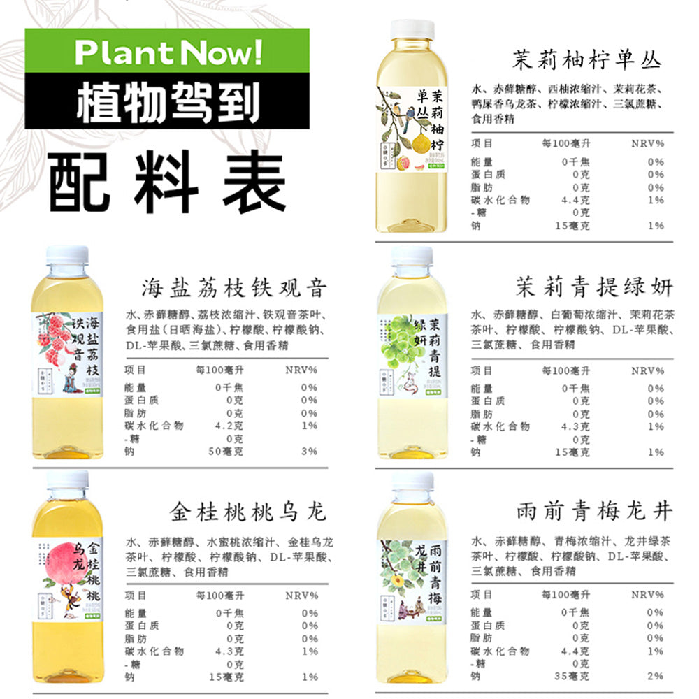 zhiwu-jiadao-jasmine-pomelo-lemon-dancong-tea-drink-500ml-4