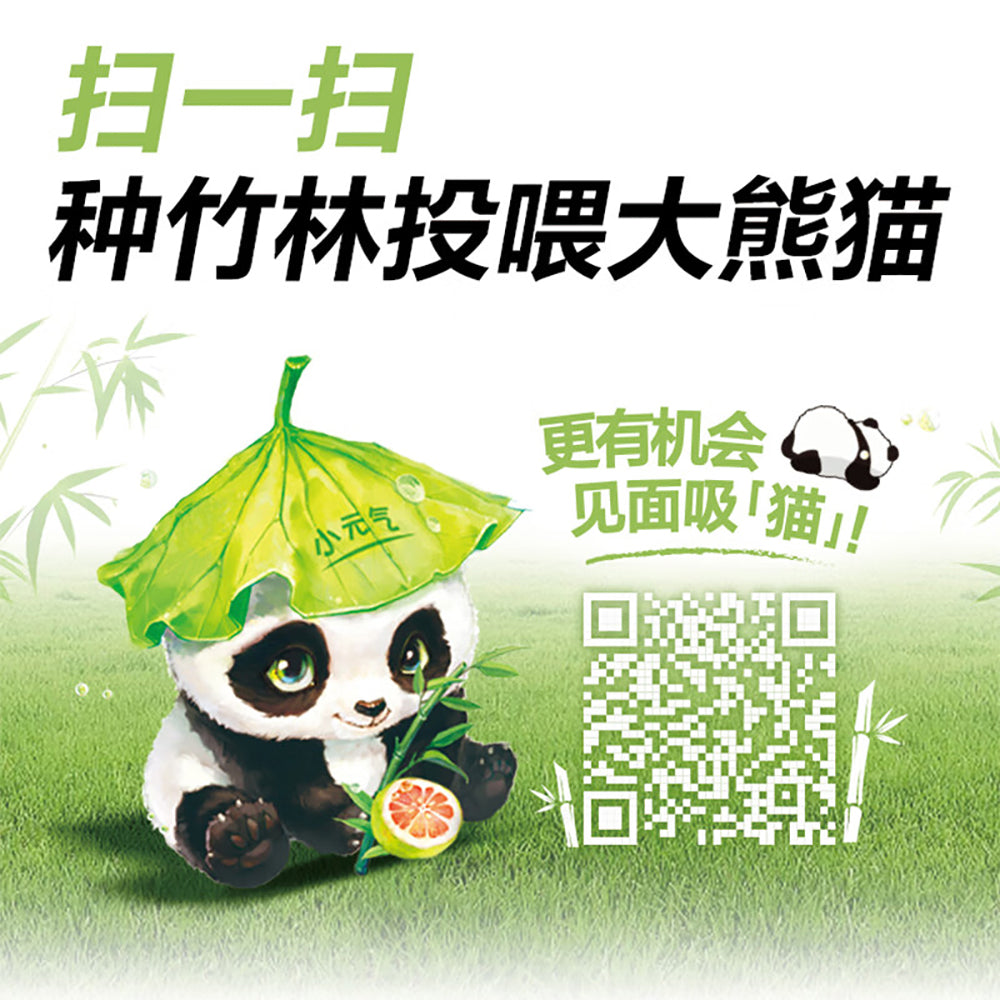 Genki-Forest-Sugar-Free-Sparkling-Water-–-Bamboo-Grapefruit-Flavor-480ml-4