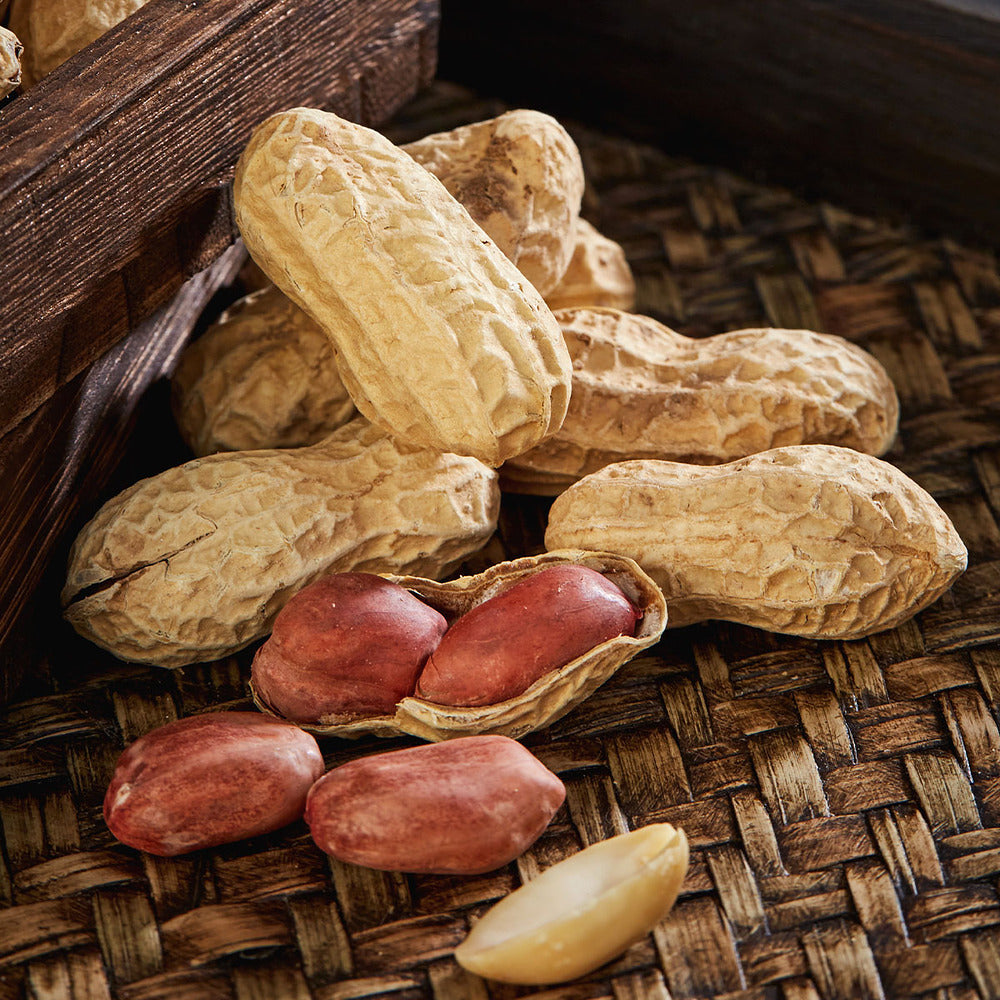 Aldi-Value-Salted-Peanuts-with-Shell-428g-–-Limited-Import-4