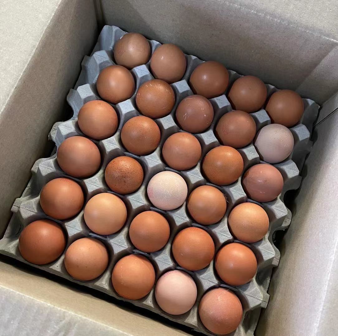Small Hen's Newborn Eggs, Full Case of 30, 1.25kg