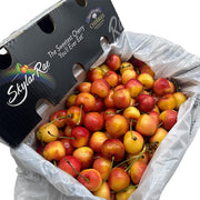 All Fruit at UMall Australia