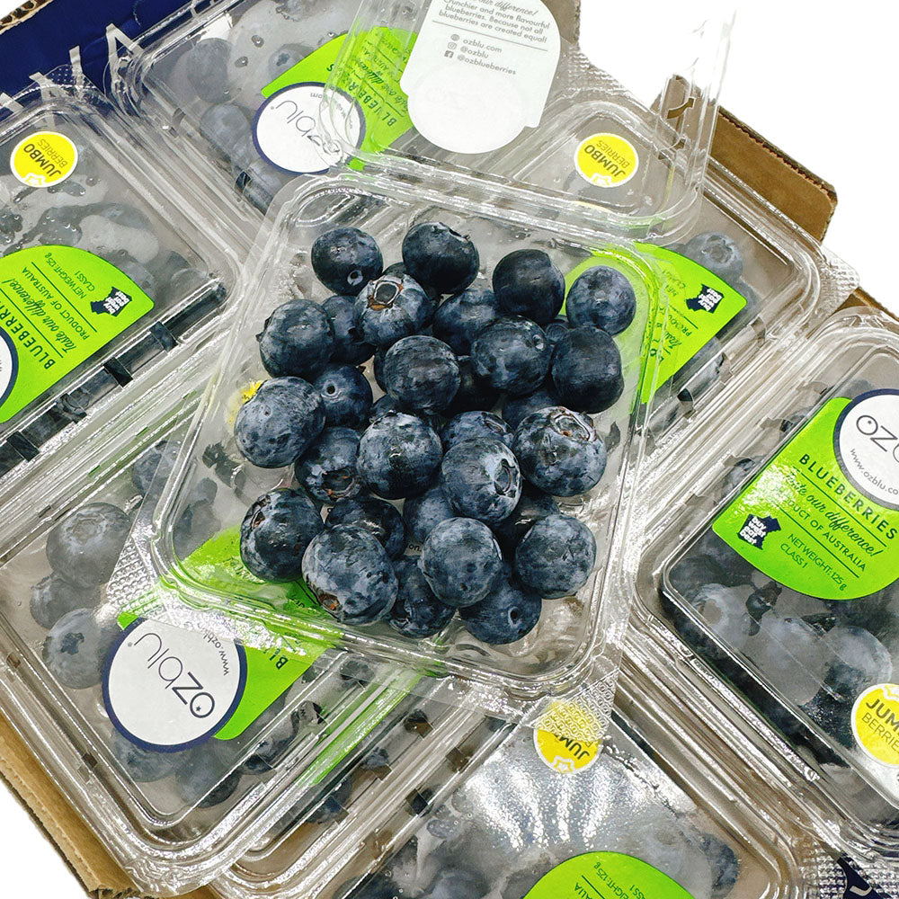 Ozblu-Jumbo-Blueberry---1-box-1