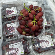 All Fruit at UMall Australia
