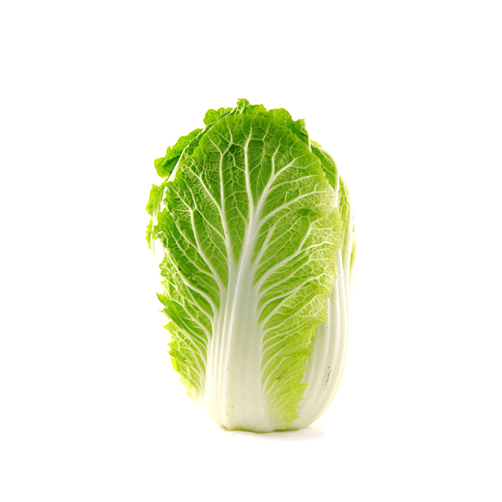 Wombok (Napa Cabbage) — 1 Piece