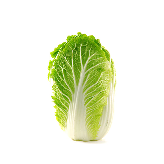 Wombok (Napa Cabbage) — 1 Piece