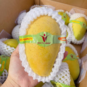 All Fruit at UMall Australia