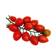 All Fruit at UMall Australia
