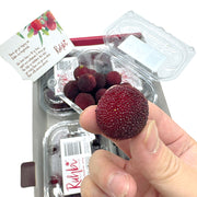 All Fruit at UMall Australia