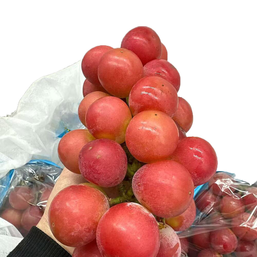 queen-nina-grapes-1-bunch-approx-700-800g-1