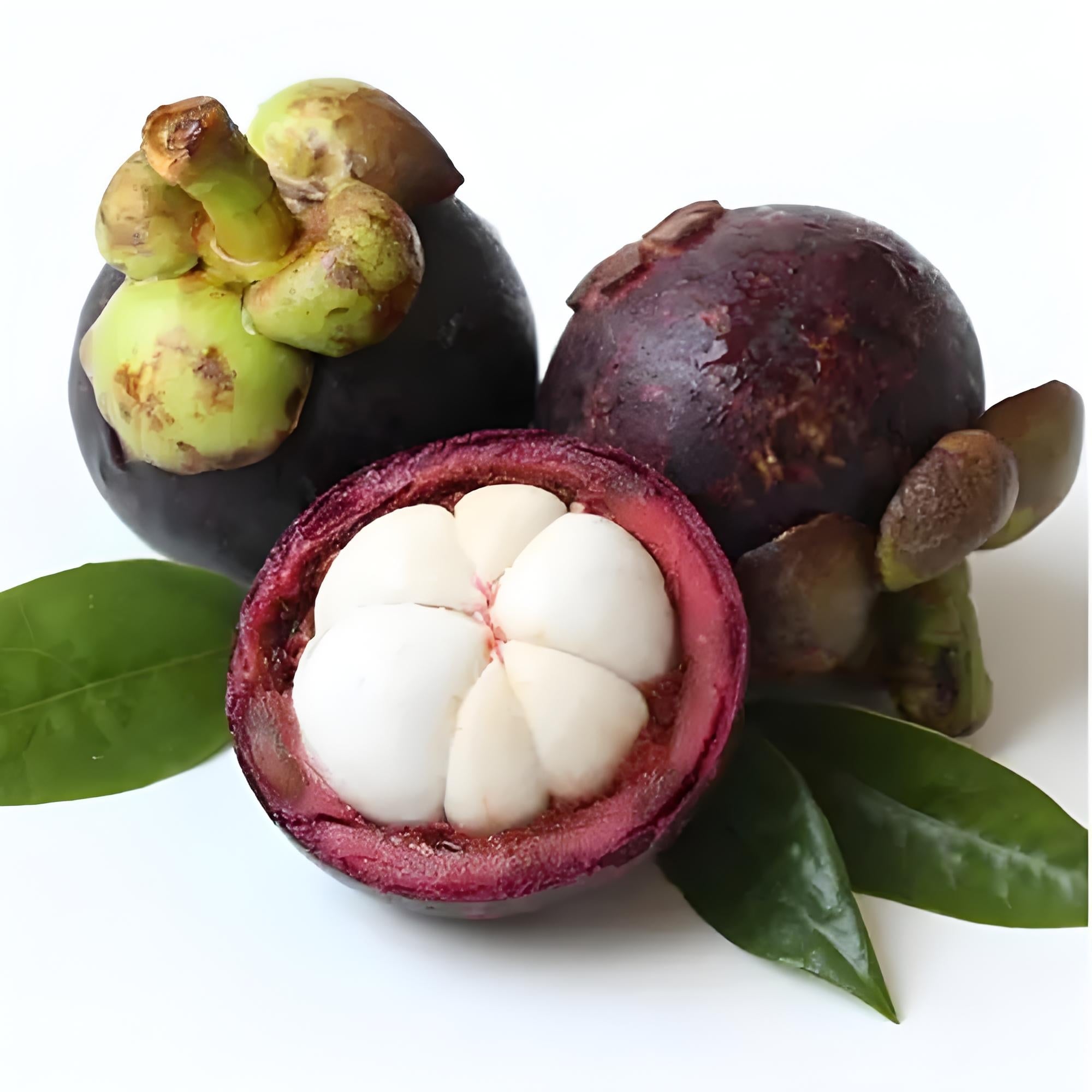 Fresh Air-Freighted Mangosteen - 800g