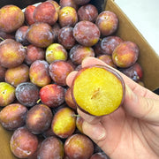 All Fruit at UMall Australia