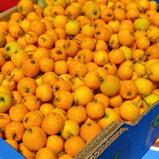 All Fruit at UMall Australia