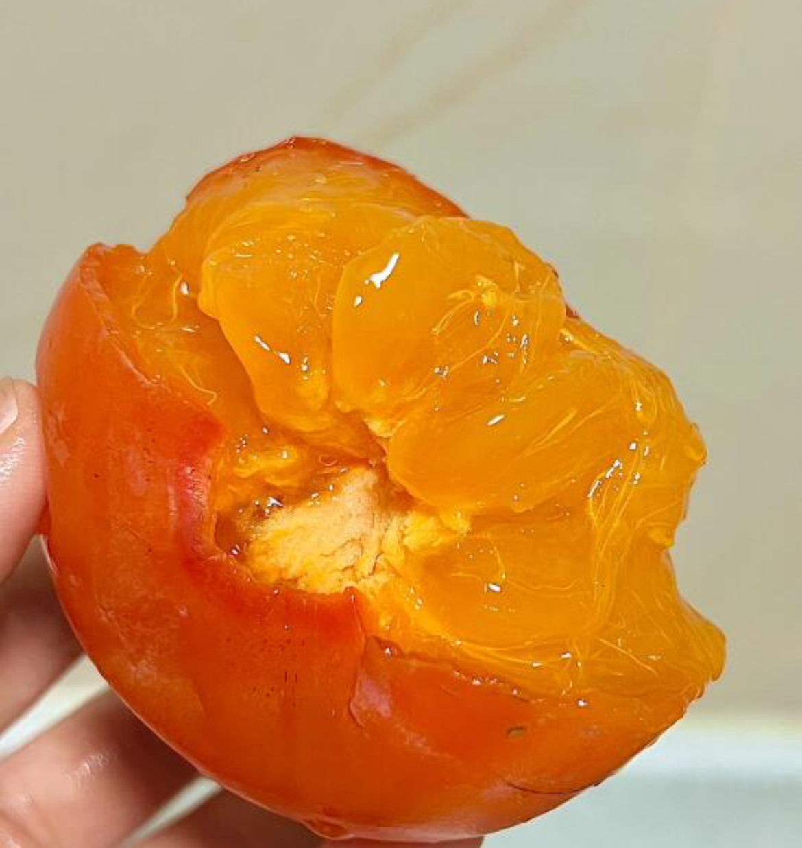 Soft-Persimmon---1-Piece-1