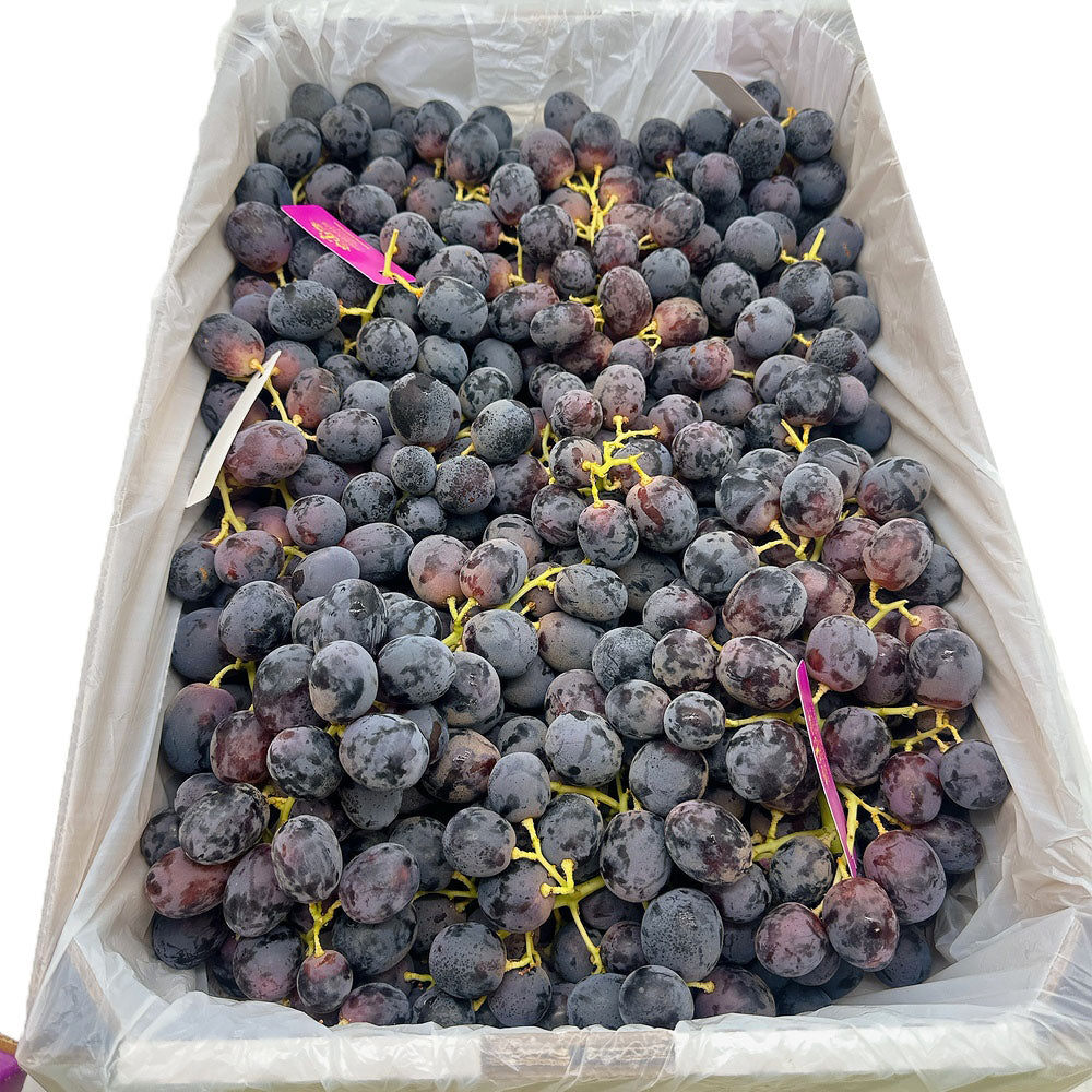 Australian-Adora-Black-Grapes-from-Golden-Gate-Farm---Premium-Size-26+-900g--1