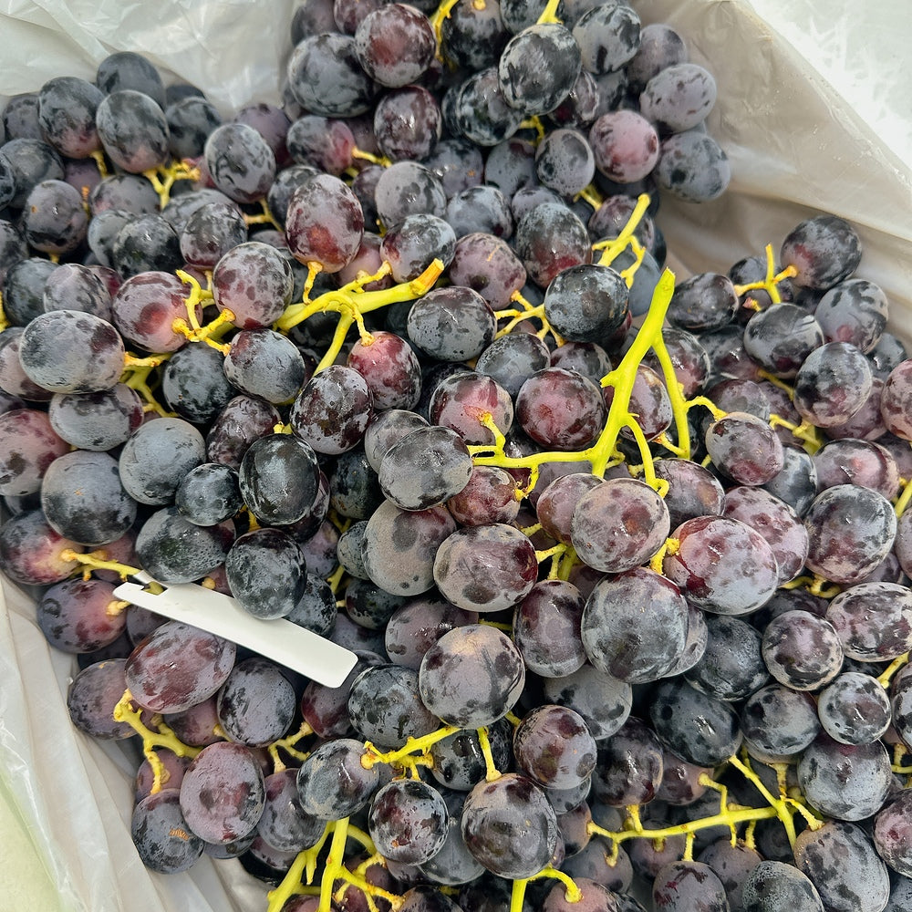 Australian-Adora-Black-Grapes-from-Golden-Gate-Farm---Box-of-9kg--1