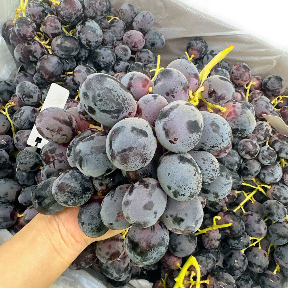 Australian-Adora-Black-Grapes-from-Golden-Gate-Farm---Box-of-9kg--1