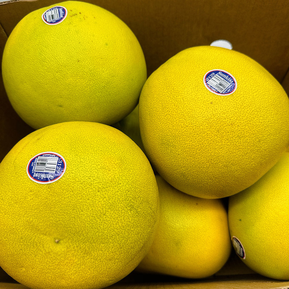 American-Red-Pomelo---Large-1-Piece-1