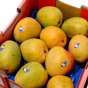 All Fruit at UMall Australia