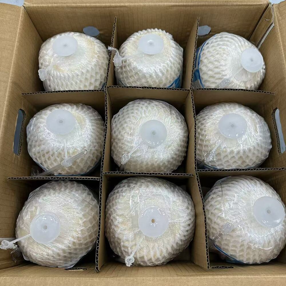 Coco-Press-Premium-Easy-Open-Young-Coconuts-(Large)-–-Box-of-9-2