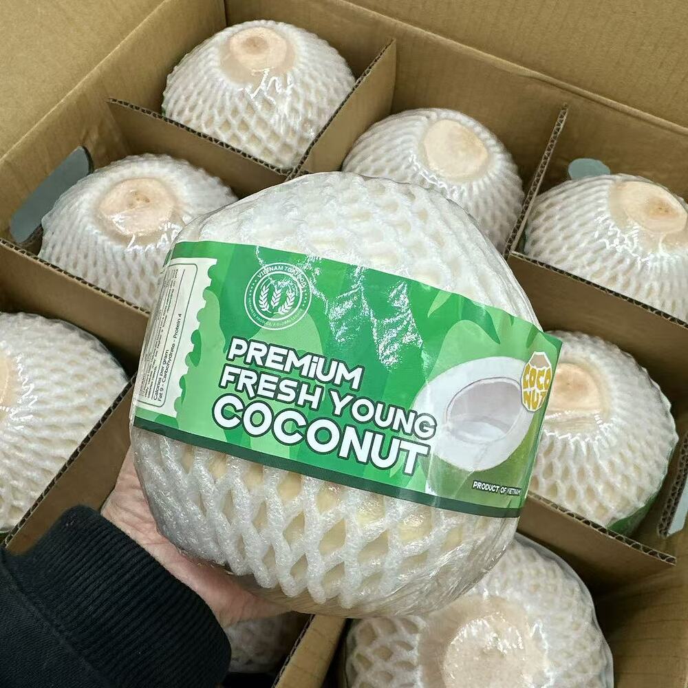 Vietnam-Premium-Large-Young-Coconuts-–-Box-of-9---Fresh-Drinking-Coconuts-3