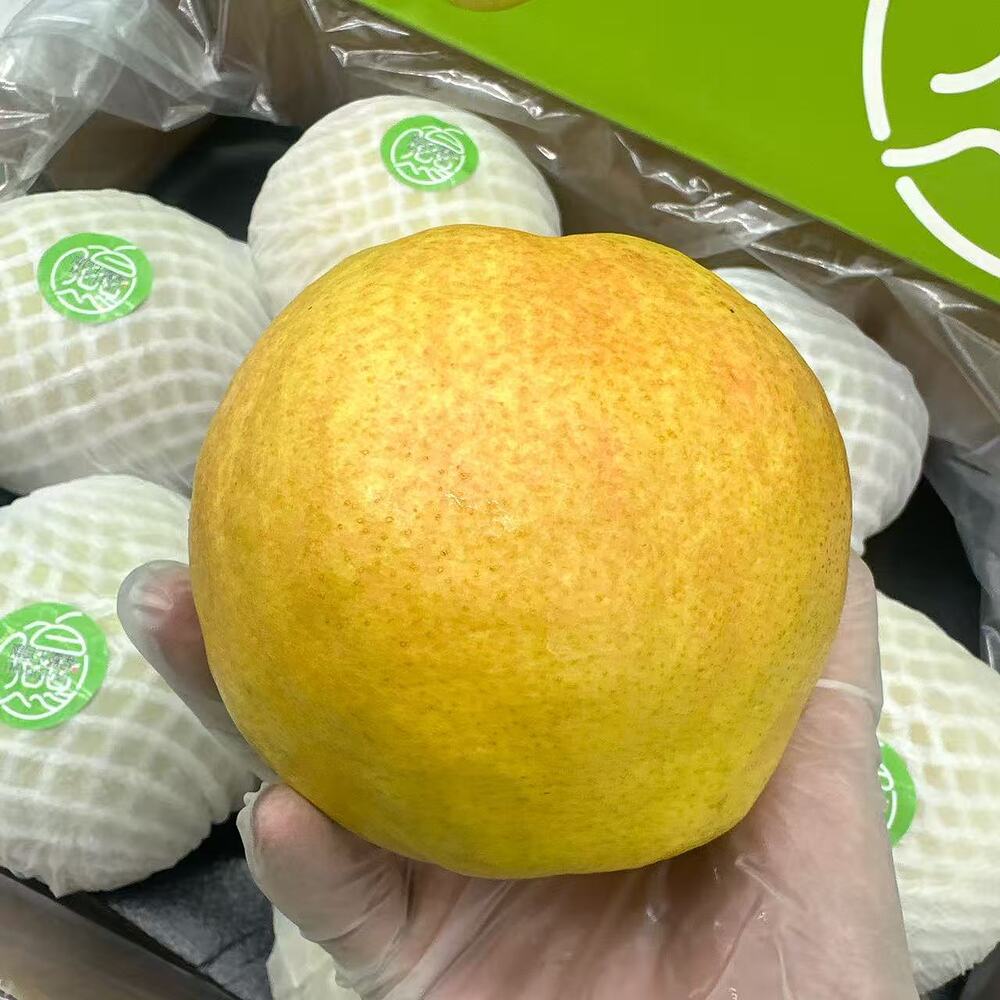 yu-luxiang-fragrant-pears-large-fruit-box-approx-3kg-1