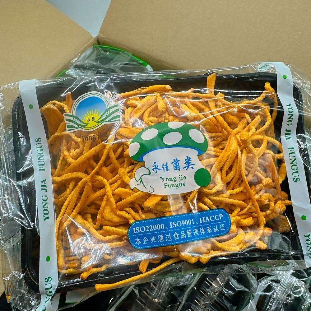 Yong-Jia-Fresh-Cordyceps-Militaris-(Golden-Cordyceps-Flower-Mushroom)-–-200g-Tray-2