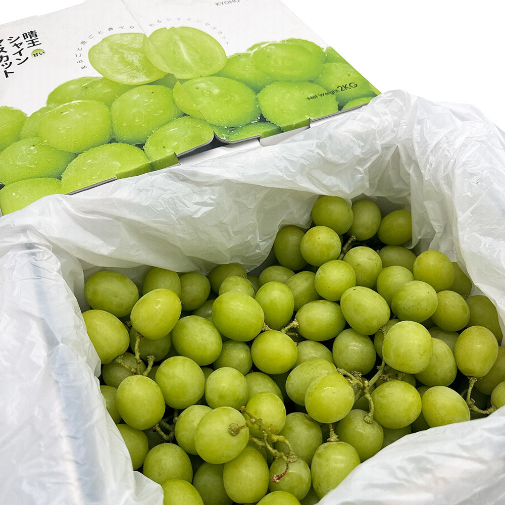 Kyoho-King-Shine-Muscat-Grapes---Box-of-2kg-1