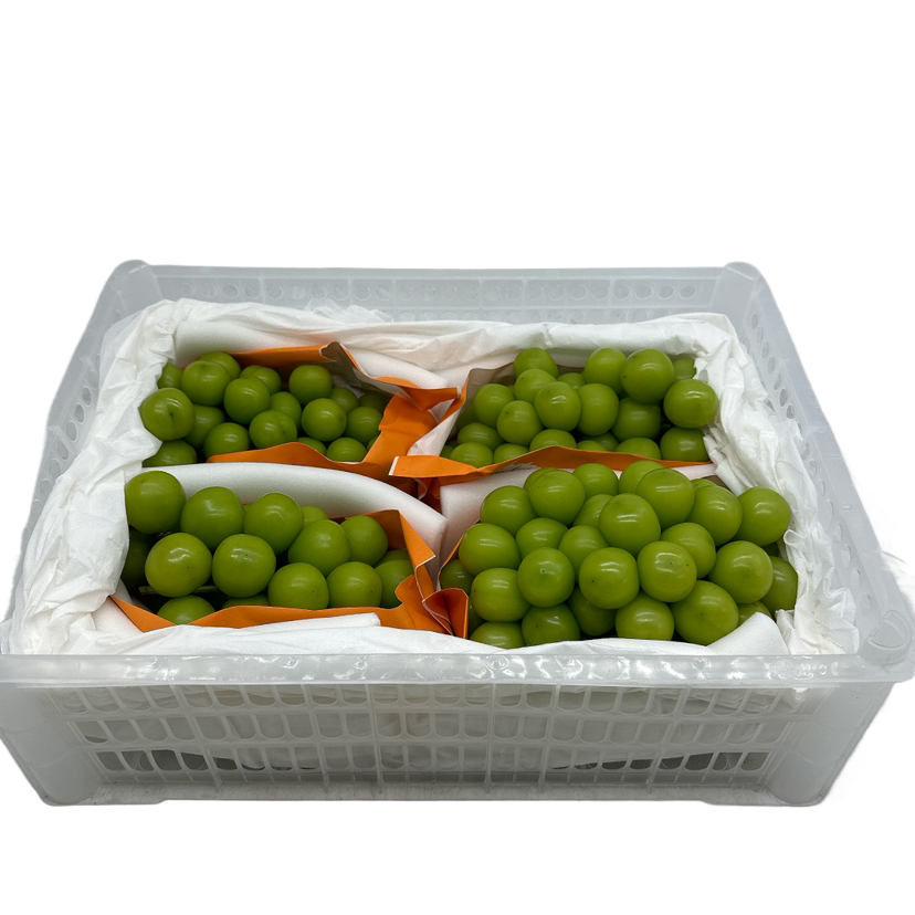 Shine-Muscat-(Sunshine-Rose)-Grapes-–-Whole-Case-Approx.-4kg---Seedless,-Edible-Skin-1