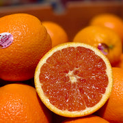 Citrus at UMall Australia