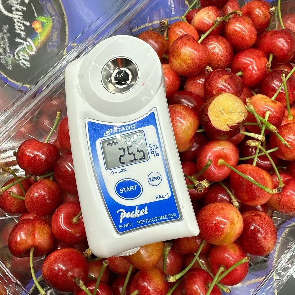 skylar-rae-white-cherries-26-28mm-box-of-approx-1kg-3