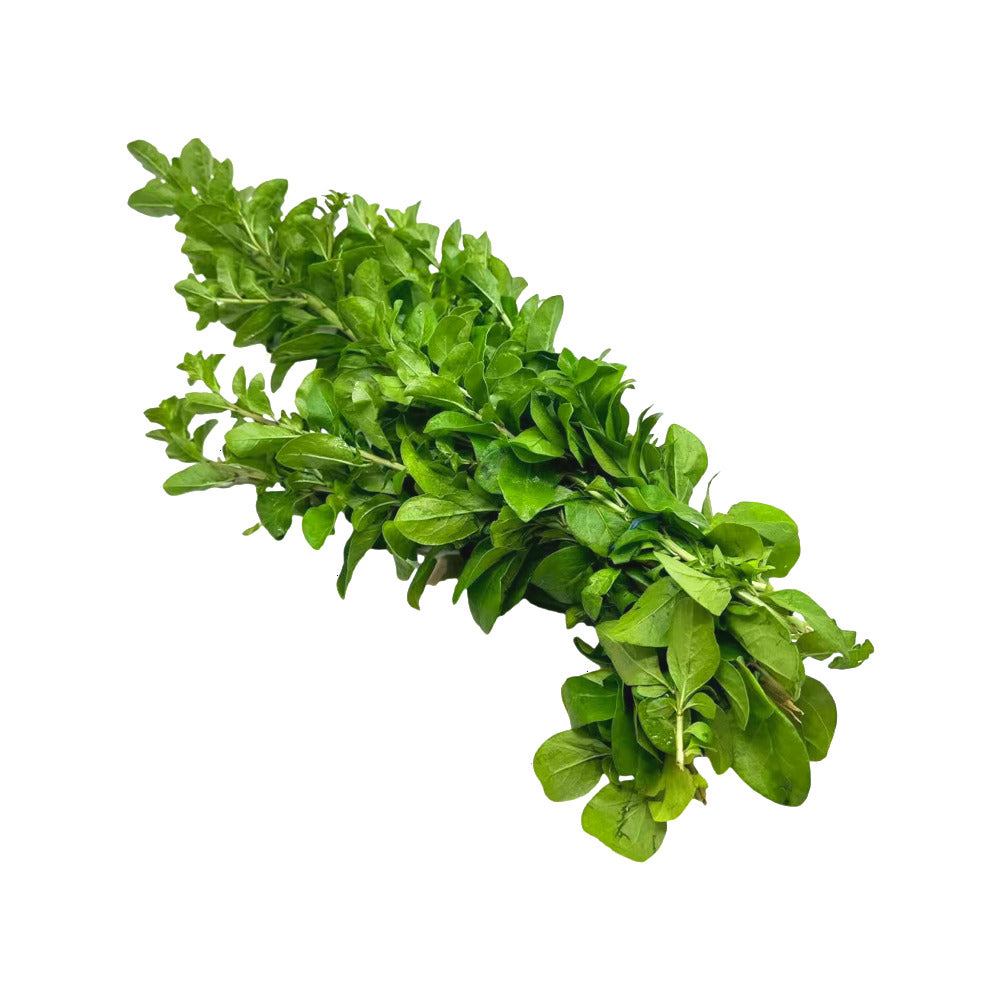 fresh-goji-leaves-1-bunch-1