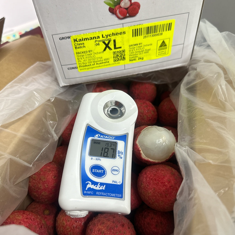 australian-kaimana-lychees-approx-500g-2
