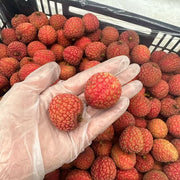 All Fruit at UMall Australia