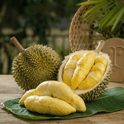 Tất cả trái cây at UMall Australia