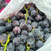 All Fruit at UMall Australia