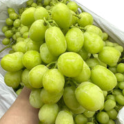 All Fruit at UMall Australia