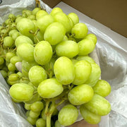 All Fruit at UMall Australia