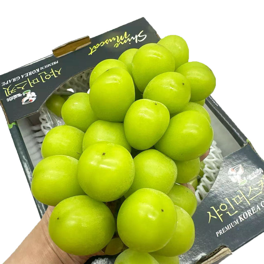 Premium-Korean-Shine-Muscat-Grapes-Gift-Box-2kg-–-Seedless,-Edible-Skin-1
