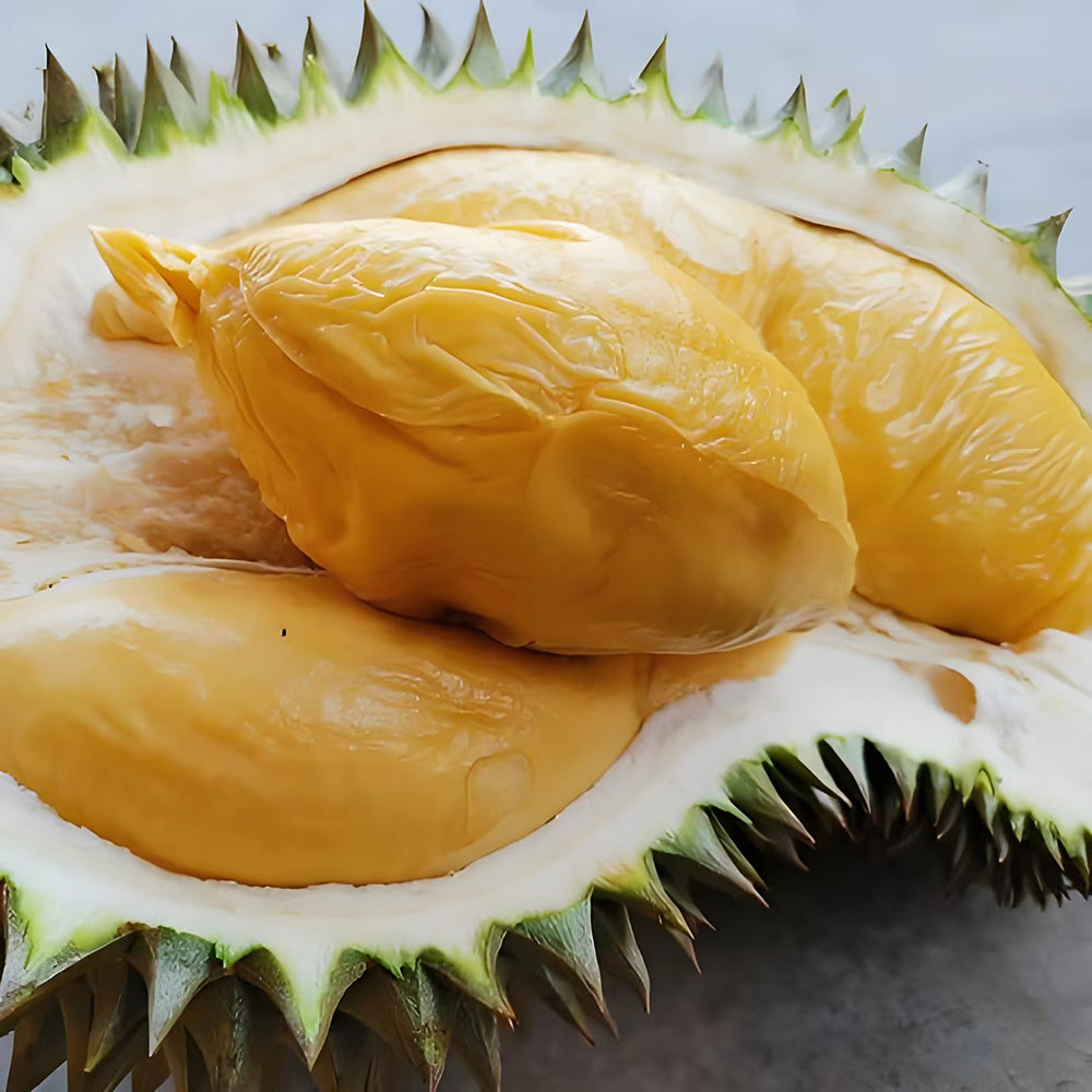 Fresh-Air-Flown-Tree-Ripened-D13-“Zhuque”-Durian-Pulp-400g-–-Golden,-Creamy-Flesh-1