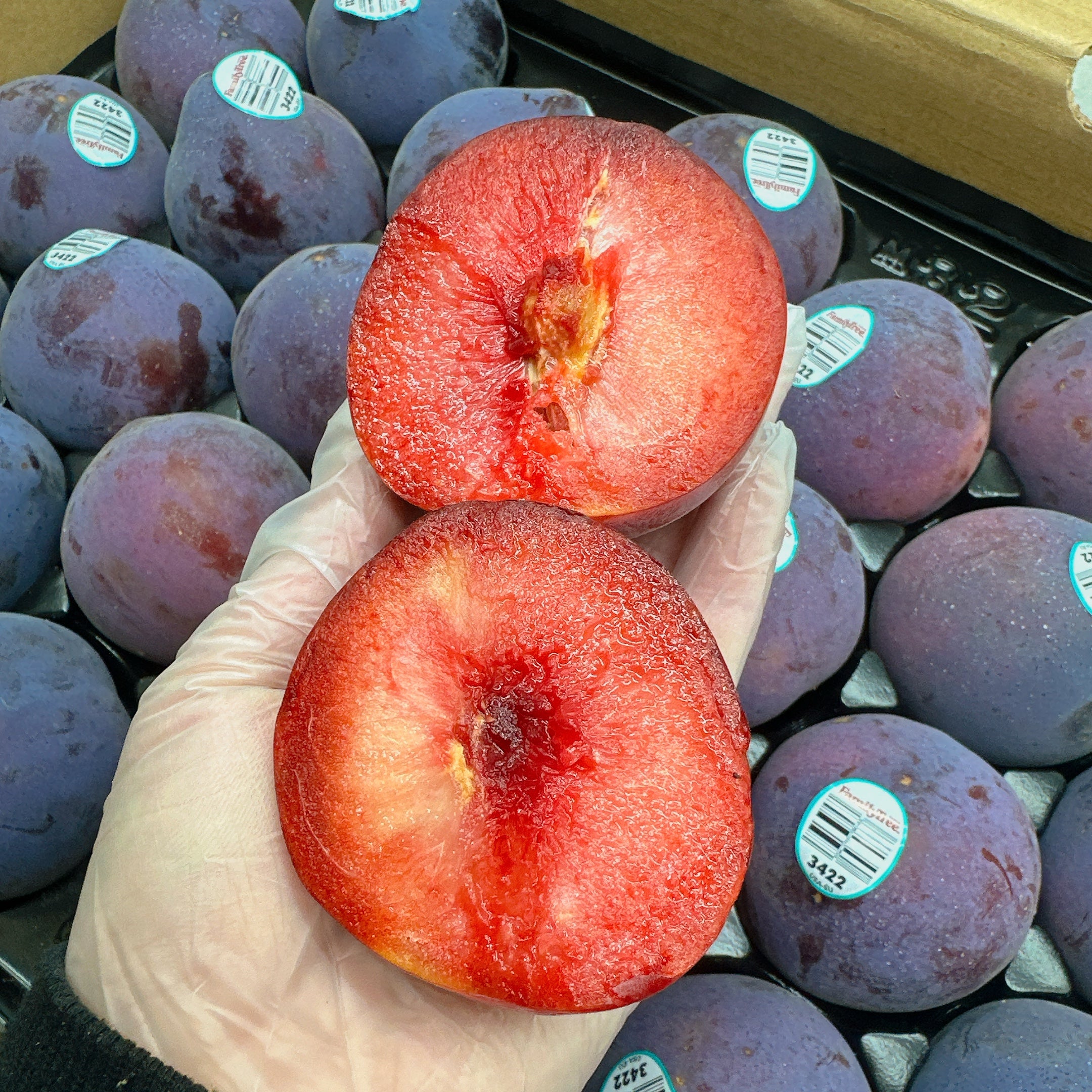 USA-Night-Rose-Dinosaur-Egg-Plums-–-Air-Flown,-4-Pieces-2