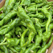 Bán chạy nhất at UMall Australia