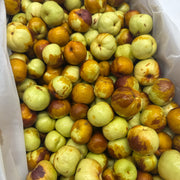 All Fruit at UMall Australia