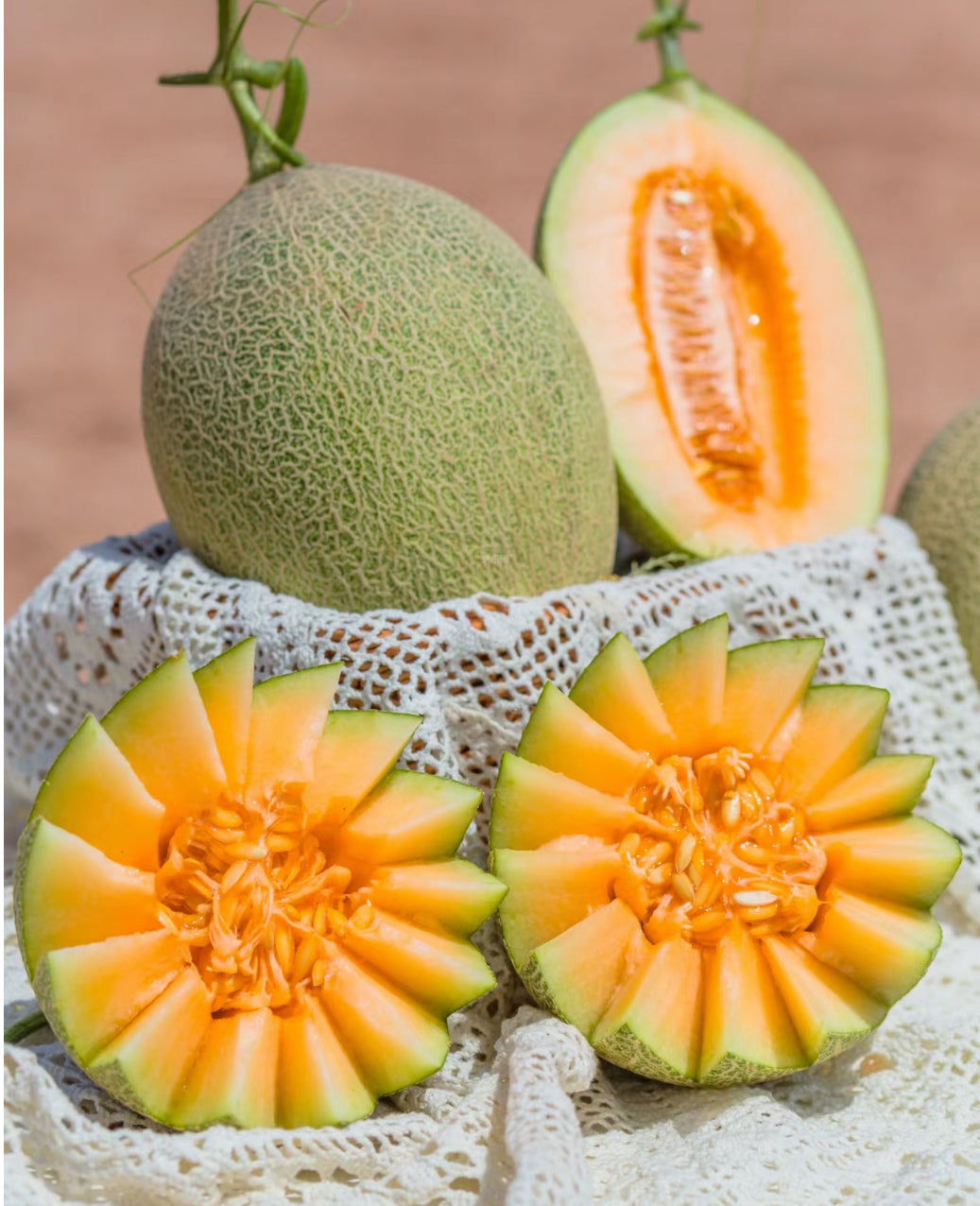 [Fresh]--Rockmelon-/-Multiple-Sizes-Available-1