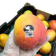 All Fruit at UMall Australia