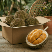 All Fruit at UMall Australia