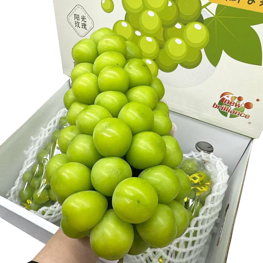 shine-muscat-grapes-gift-box-china-approx-3-kg-seedless-no-peel-1
