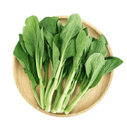 Umall at UMall Australia