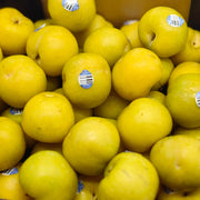All Fruit at UMall Australia